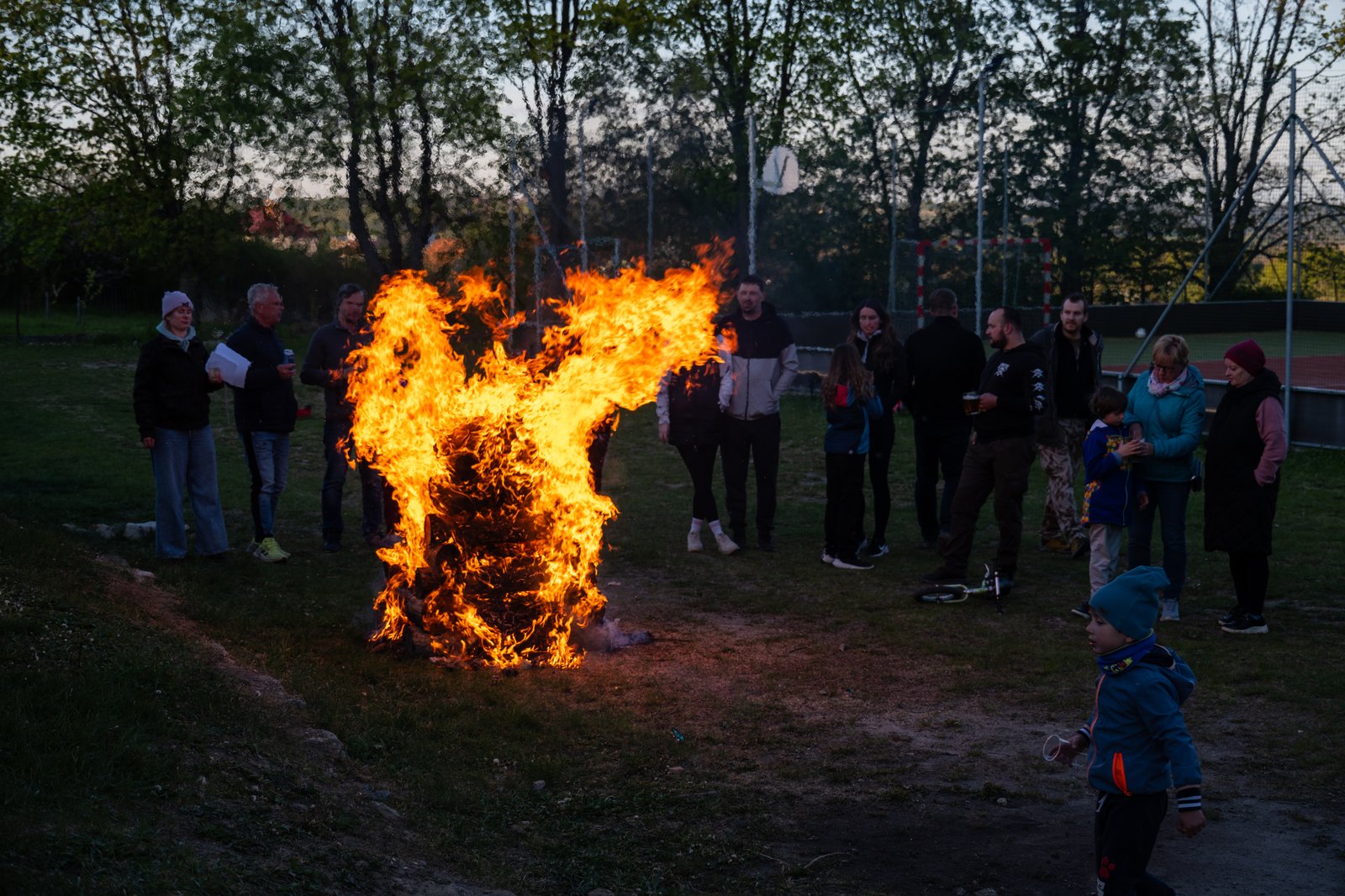 Obrázek v galerii